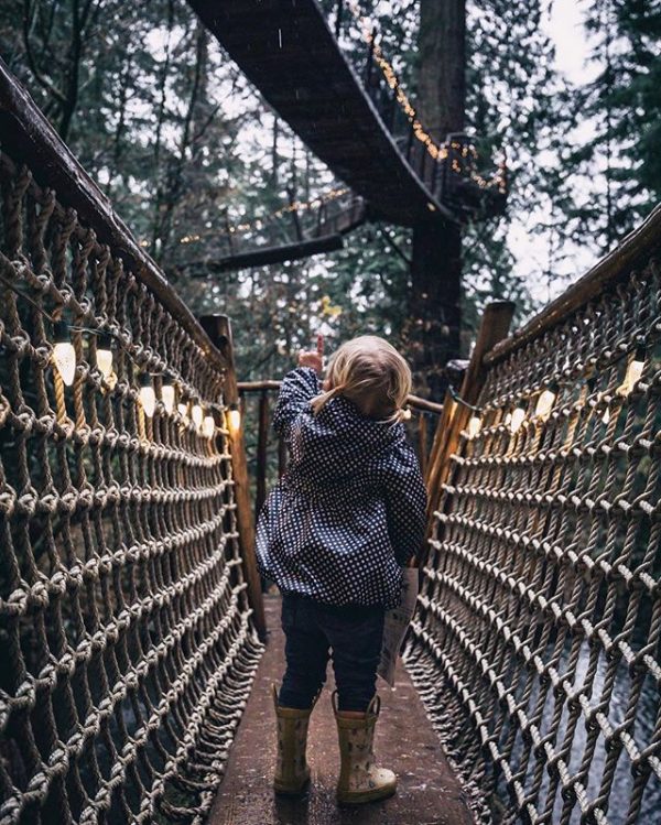 capsuspbridge